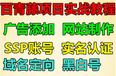 百青藤账号项目教程 SSP联盟 域名定向 实战视频 建站推广 玩法
