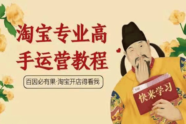 暴疯团队VIP赚钱项目课程（淘宝开店之大运营）（完结）