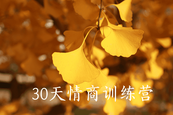 第4期 30天情商训练营【晚情】（完结）