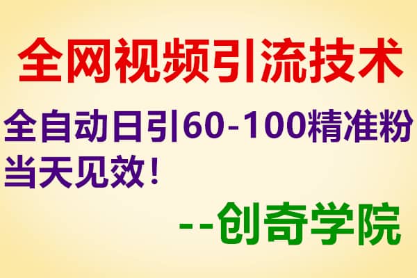 全网视频引流技术教程：全自动日引60-100精准粉当天见效！【创奇学院】