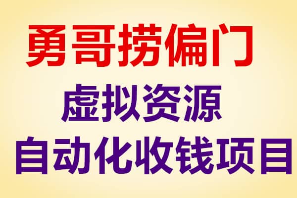 勇哥项目招生：虚拟资源自动化收钱项目日赚300-500【勇哥】（原价899）