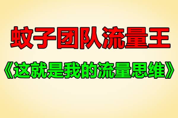 蚊子团队流量王代表作：《这就是我的流量思维》（原价1280）