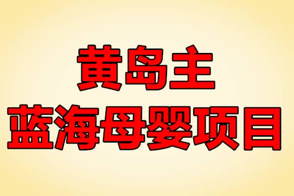 黄岛主蓝海母婴项目【黄岛主】（原价1688）