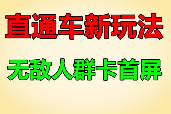 淘宝天猫最新直通车《无敌人群卡首屏》拿大流量玩法（原价4980）