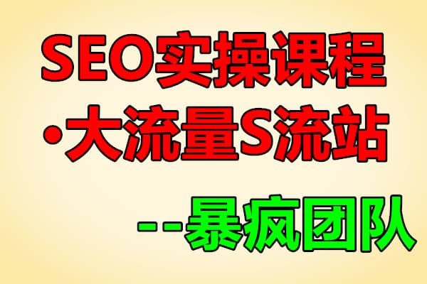 暴疯团队VIP之SEO实操课程之大流量S流站（原价3000）