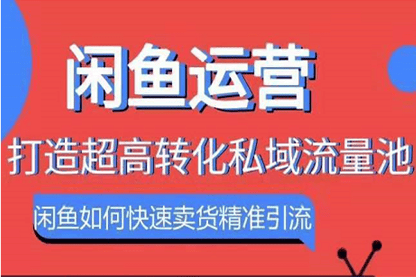 闲鱼运营：如何快速卖货精准引流【胜子】
