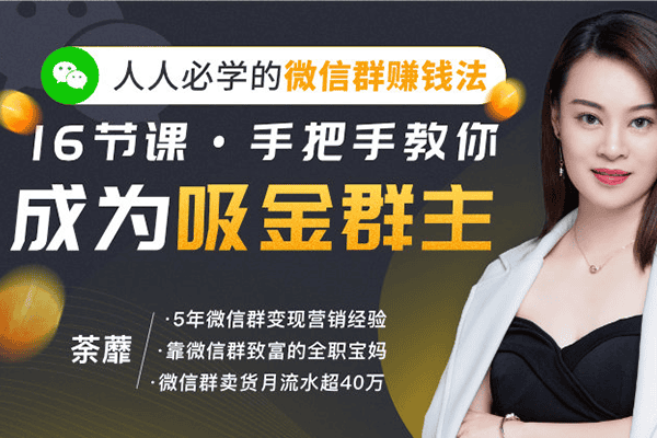 人人必学的微信群赚钱法，16节课手把手教你成为吸金群主【唯库-荼蘼】