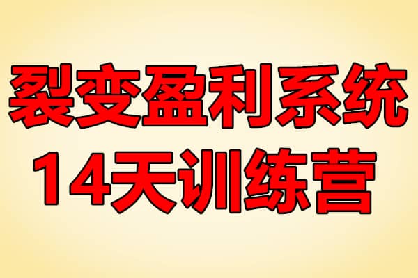 裂变盈利系统14天训练营【王六六】（原价799）