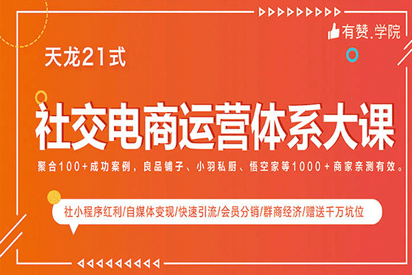 社交电商体系大课，有赞天龙21式（原价599）