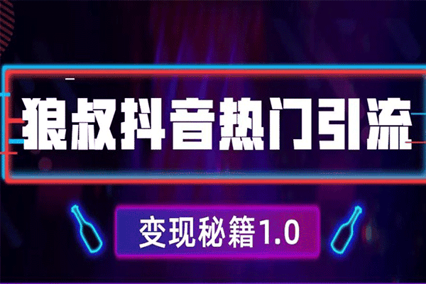 抖音热门引流变现秘籍1.0，人人都可以捞金的项目【狼叔】（原价199）