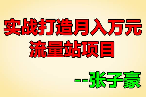 实战打造月入万元的流量站的项目【张子豪】（原价1800）