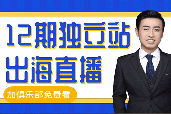 亚马逊独立站运营打法丨跨境电商（原价488）