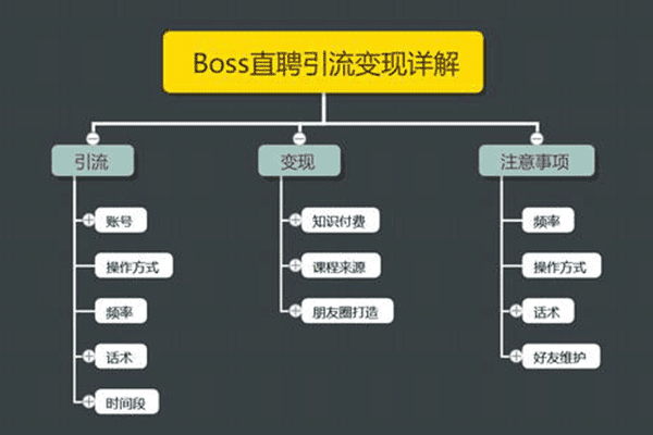 Boss直聘引流变现详解，让网络赚钱更简单!【王半圈】