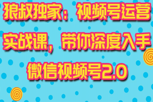 狼叔独家：视频号运营实战课，带你深度入手微信视频号2.0【狼叔】