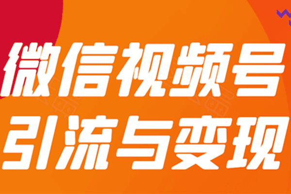 微信视频号引流与变现-全面玩法【贺友会】（原价399）
