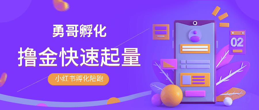 勇哥·小红书撸金快速起量陪跑孵化营，价值688元