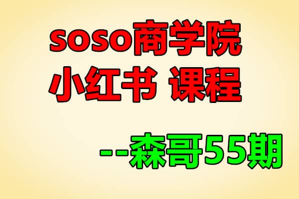 soso商学院小红书教程【森哥weibo商学院55期】（原价1680）